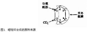 嘧啶核