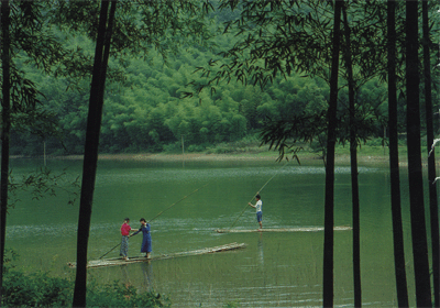 四棵樹鄉