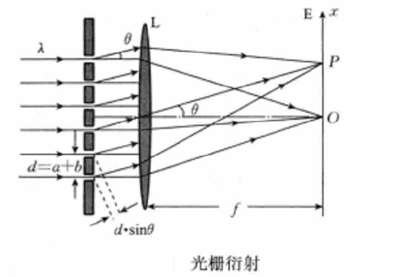 主極大