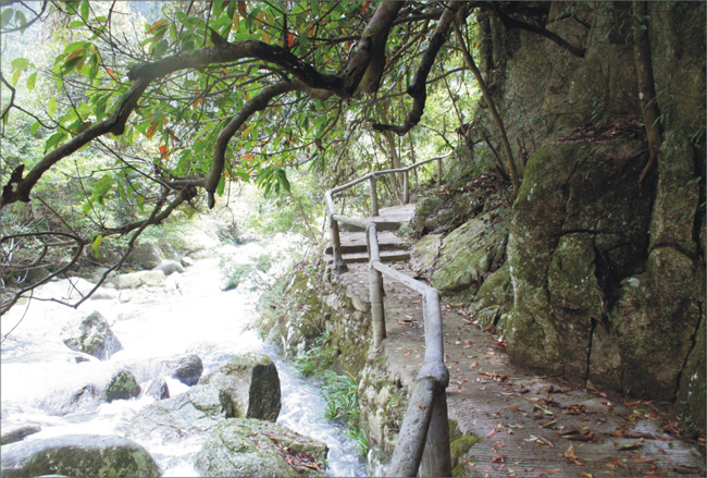 飛水寨~林間小道