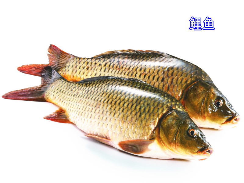 檸檬蜂蜜烤魚排