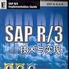 SAP R/3技術與實現