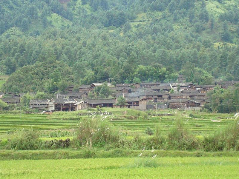 中村茶子園自然村