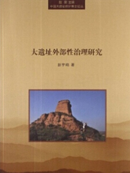 大遺址保護外部性治理研究