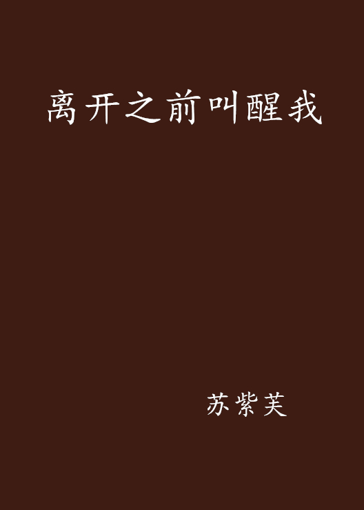 離開之前叫醒我(小說)