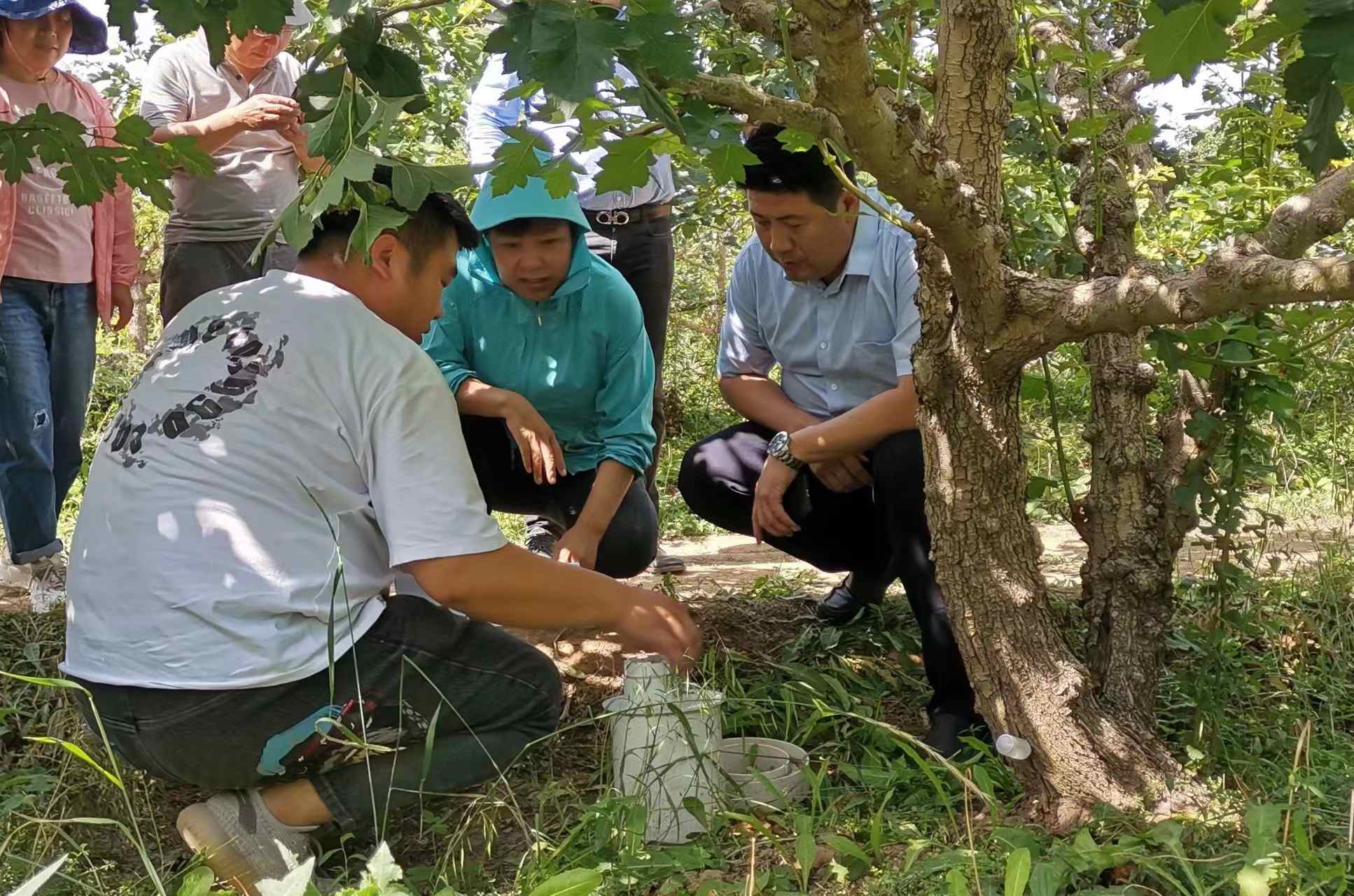 王康傑(山西運城農業職業技術學院實驗中心主任；正高級農藝師)