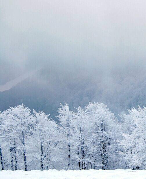 風霜