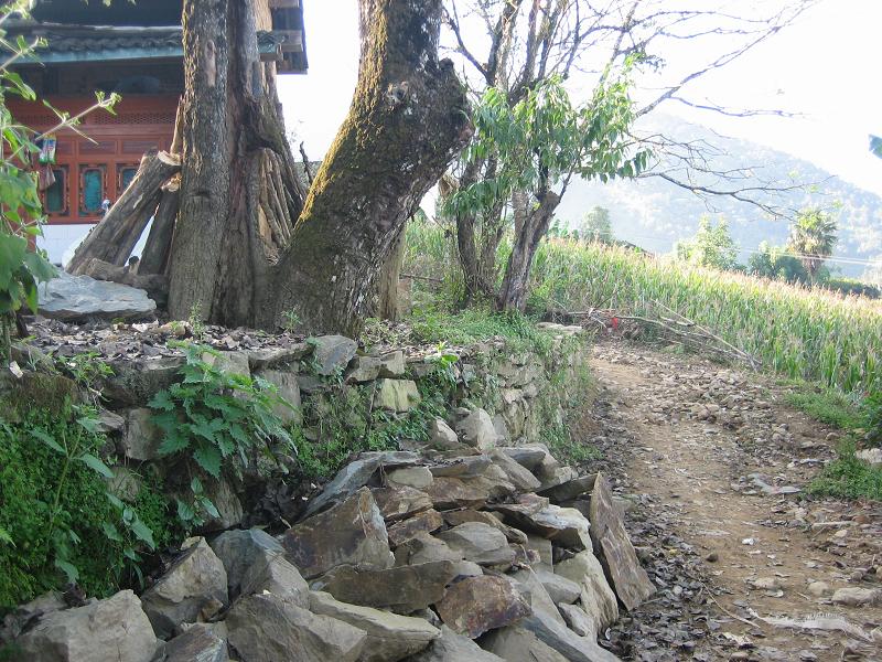 坪子地自然村村內道路