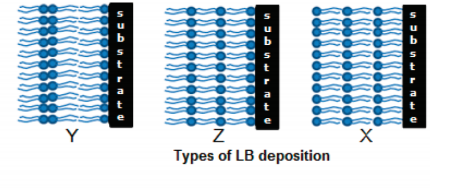 Langmuir-Blodgett膜