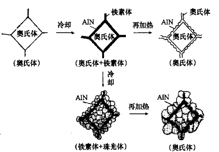 圖1 不同加熱過程AIN的析出情況