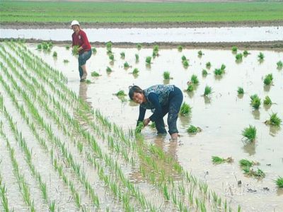 鮑興村