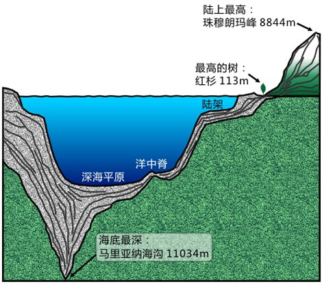 生存空間