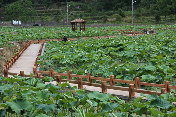 潮白麗水莊園