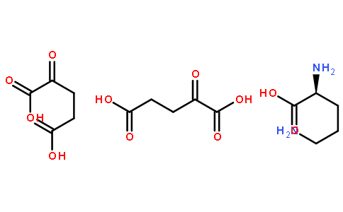 L-谷氨醯胺-α-酮戊二酸