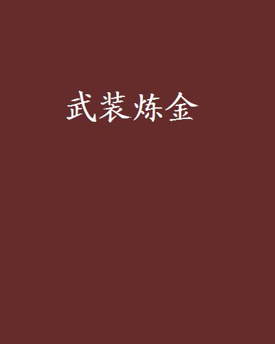 武裝鍊金(起點小說網完結小說)