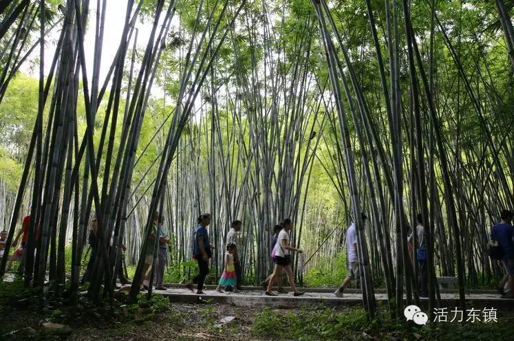 旺同十里竹道