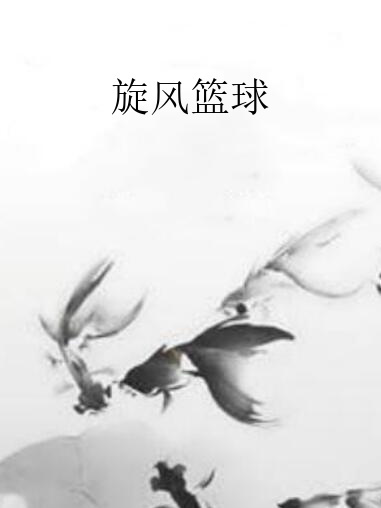 旋風籃球(逗鵝著網路小說)