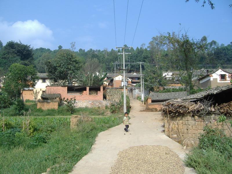 入村道路