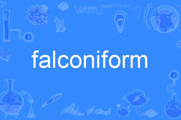 falconiform