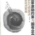 企業家激勵約束與國有企業改革(2000年中國人民大學出版社出版的圖書)