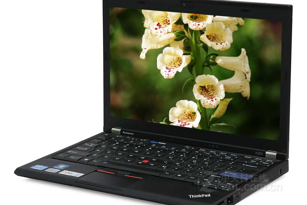 ThinkPad X220i(4290CY8)