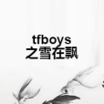 tfboys之雪在飄