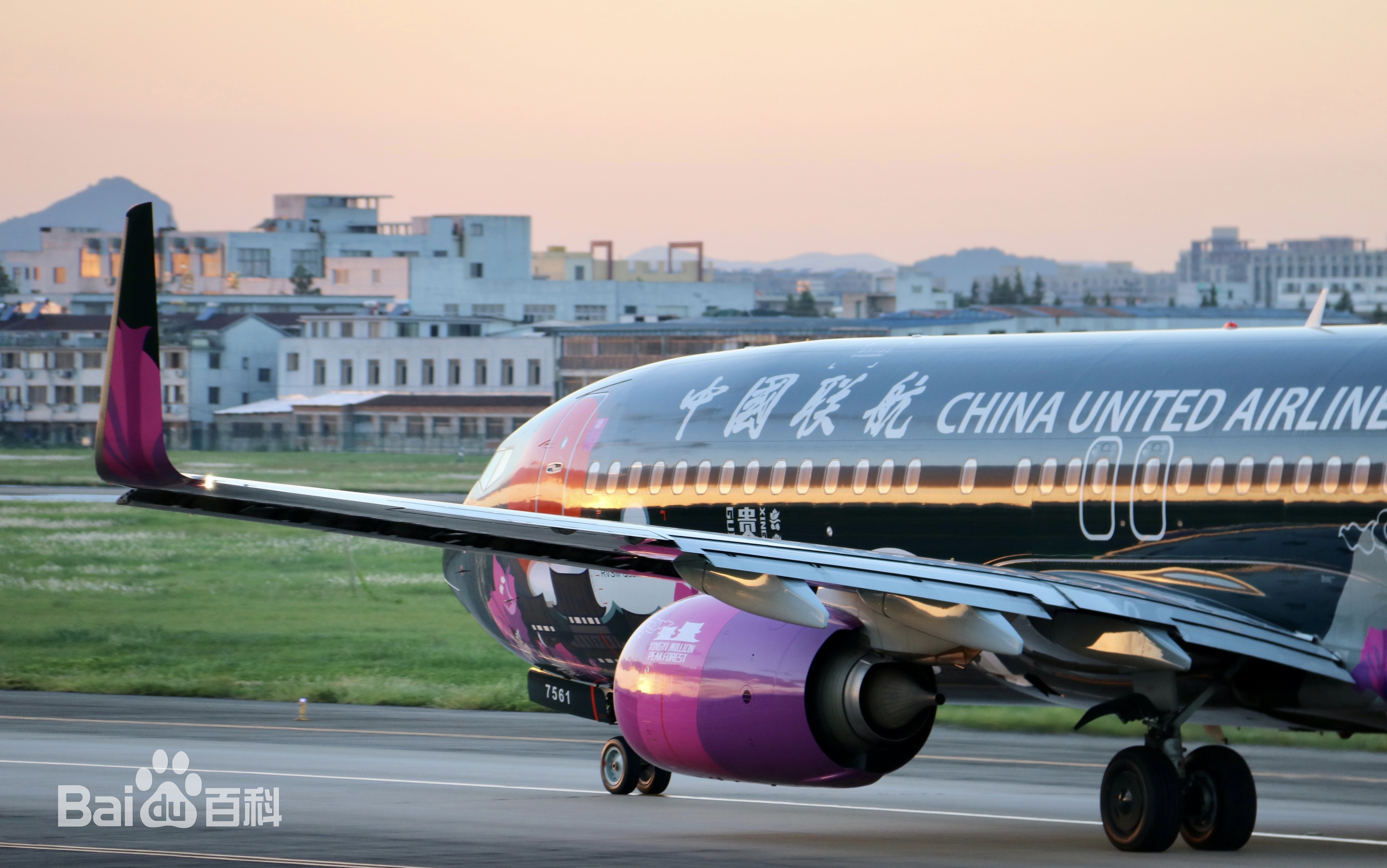 中國聯合航空有限公司(中國聯合航空)