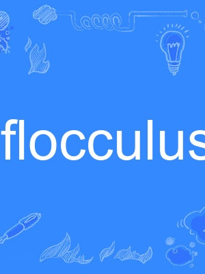 flocculus