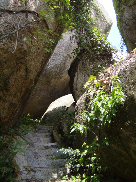 虎嶼岩