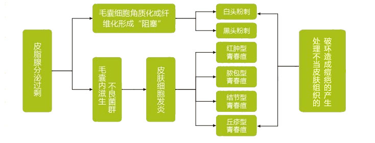 形成過程