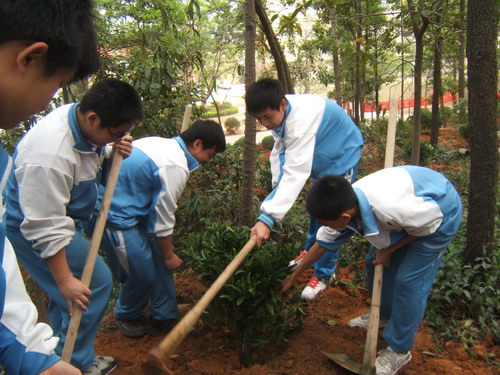 植樹活動