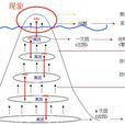 調查分析法