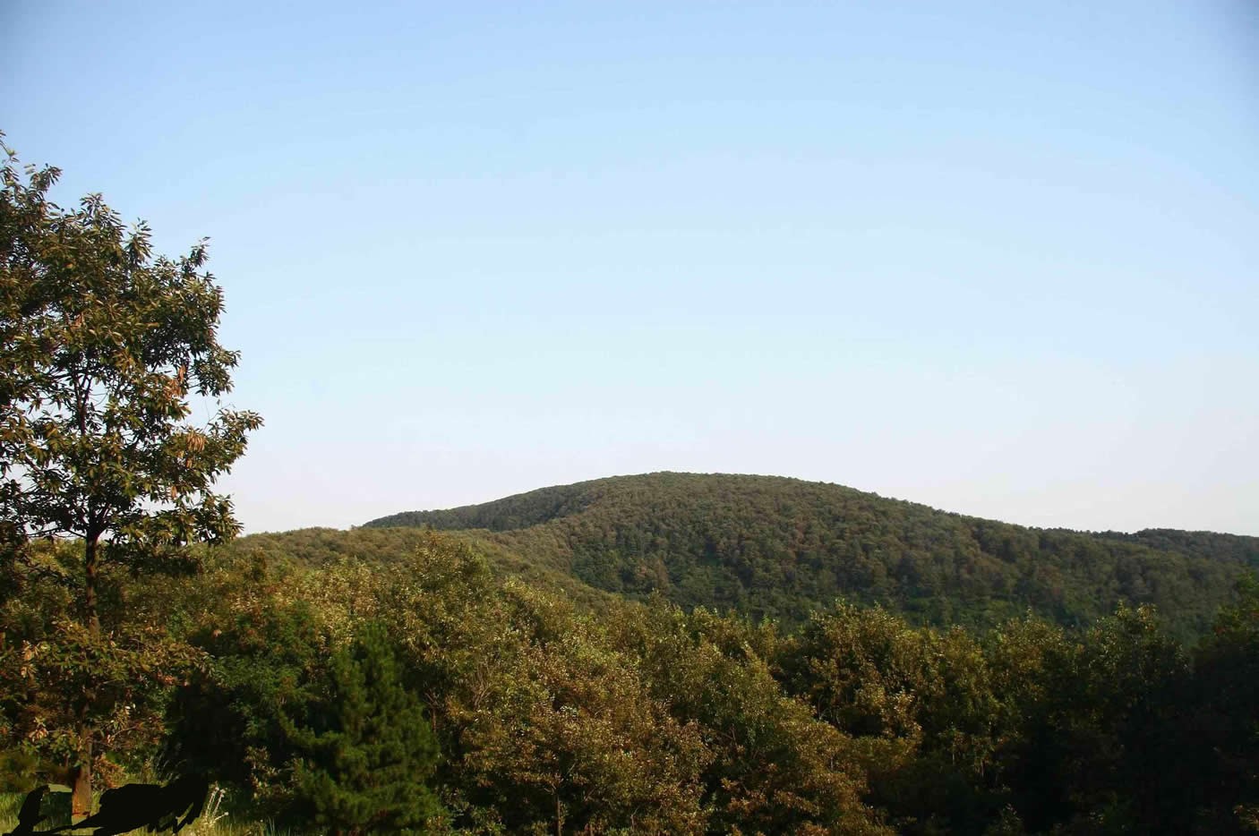 大虎嶺省級森林公園