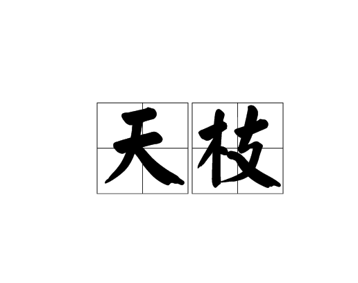 天枝(詞語)