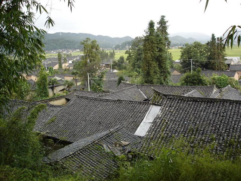 洞山村(雲南省騰衝市騰越鎮下轄村)