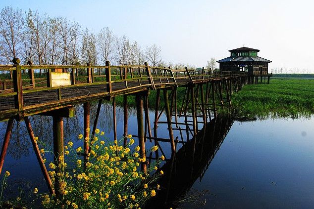 茶壇島風景區