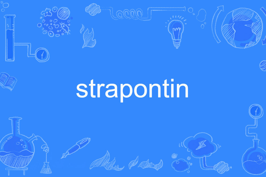 strapontin