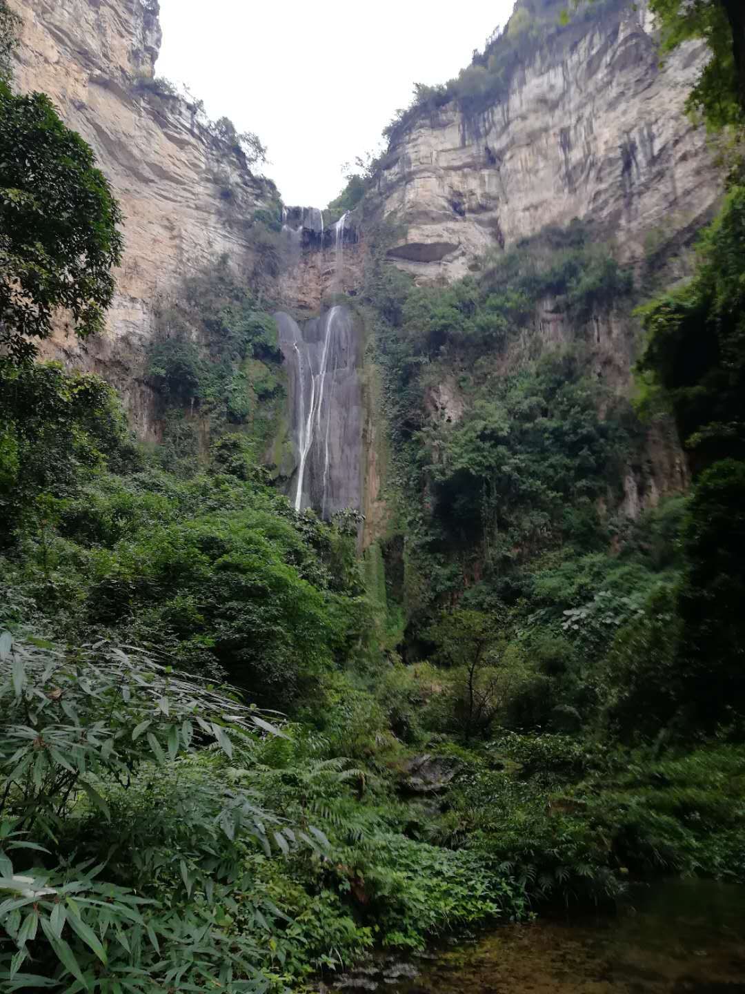 大鹿村