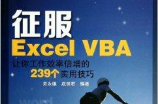 征服Excel VBA