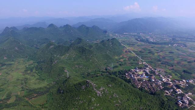 山地植被