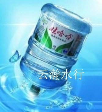 娃哈哈純淨水