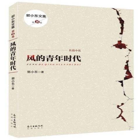 風的青年時代(2015年花城出版社出版的圖書)