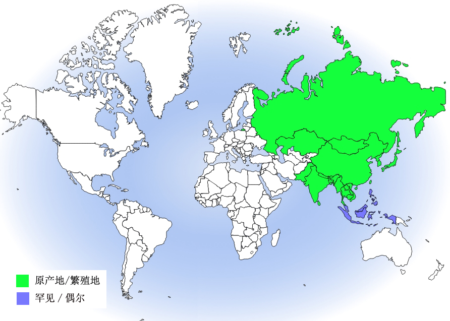 日本鵟分布圖