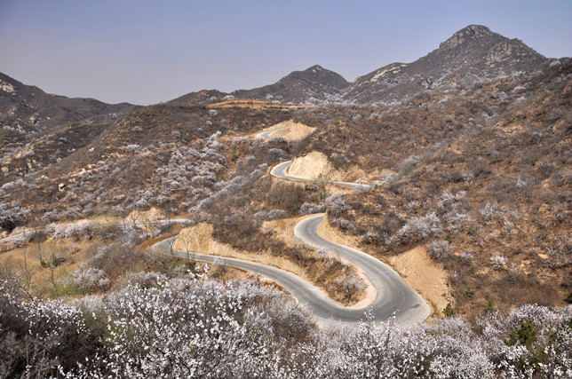 小莊科村(北京市延慶縣大莊科鄉下轄村)