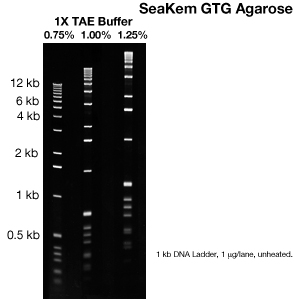 LONZA公司 SeaKem GTG瓊脂糖