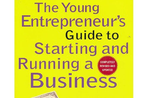 young entrepreneur\x27s guide