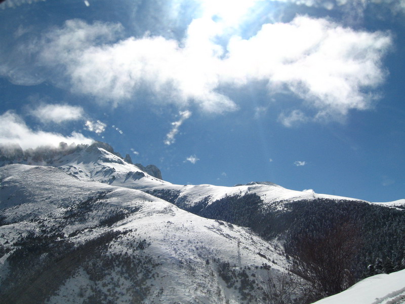 白茫雪山國家級自然保護區(白茫雪山自然保護區)