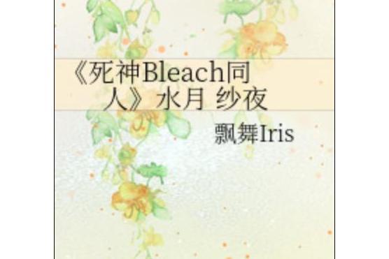 《死神Bleach同人》水月紗夜