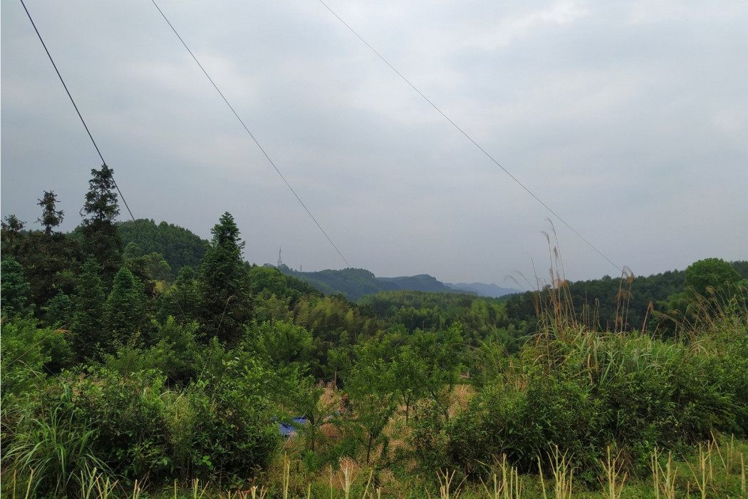 青山嶺康養地