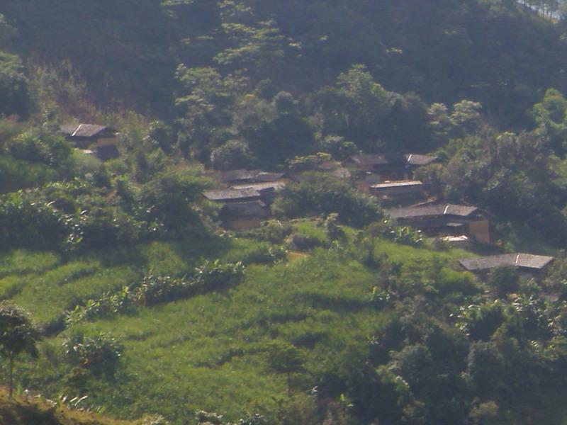 大石板村(雲南曲靖市會澤縣紙廠鄉下轄村)